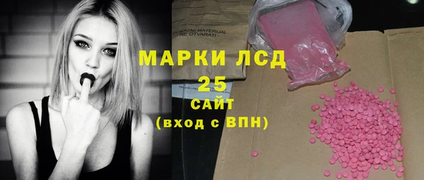 индика Тайга