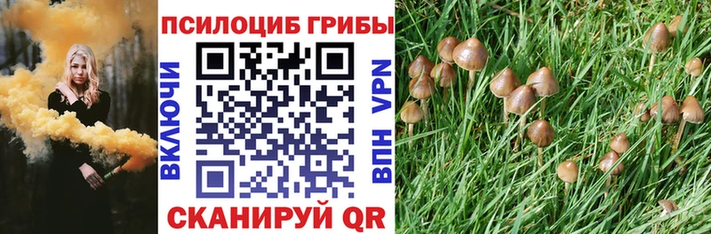 как найти закладки Семёнов Псилоцибиновые грибы GOLDEN TEACHER